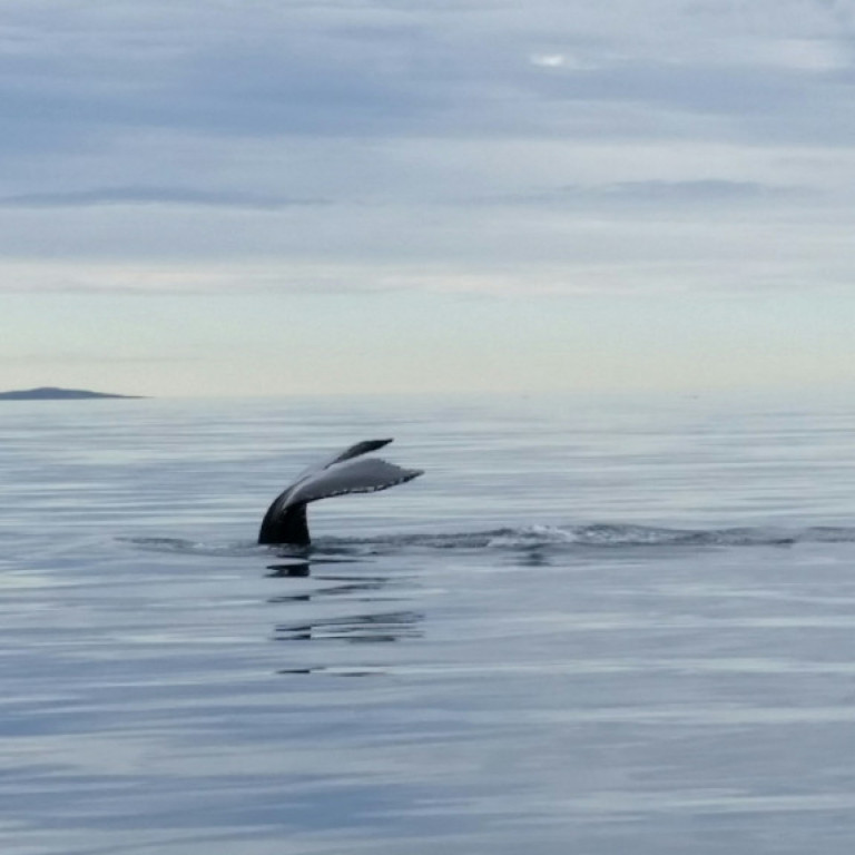 20150818_173919_1478701304215_resized