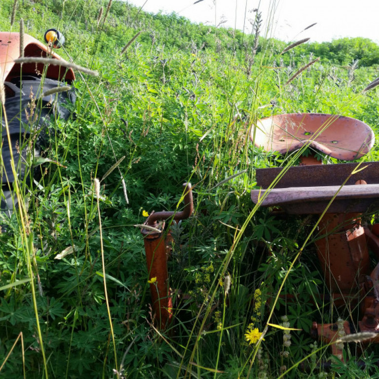 20150906_160808_resized