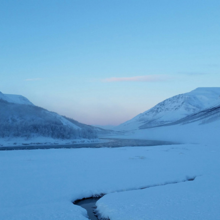 20151212_120603_resized