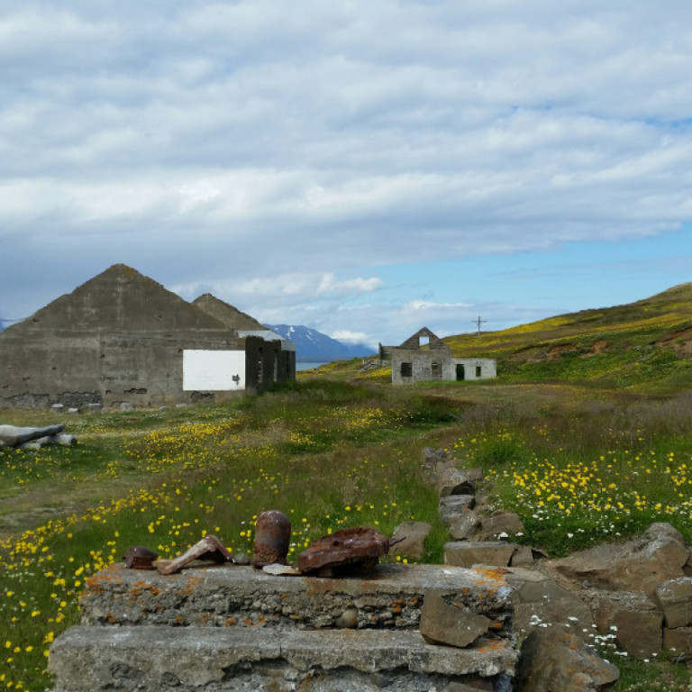 20160801_125736_resized