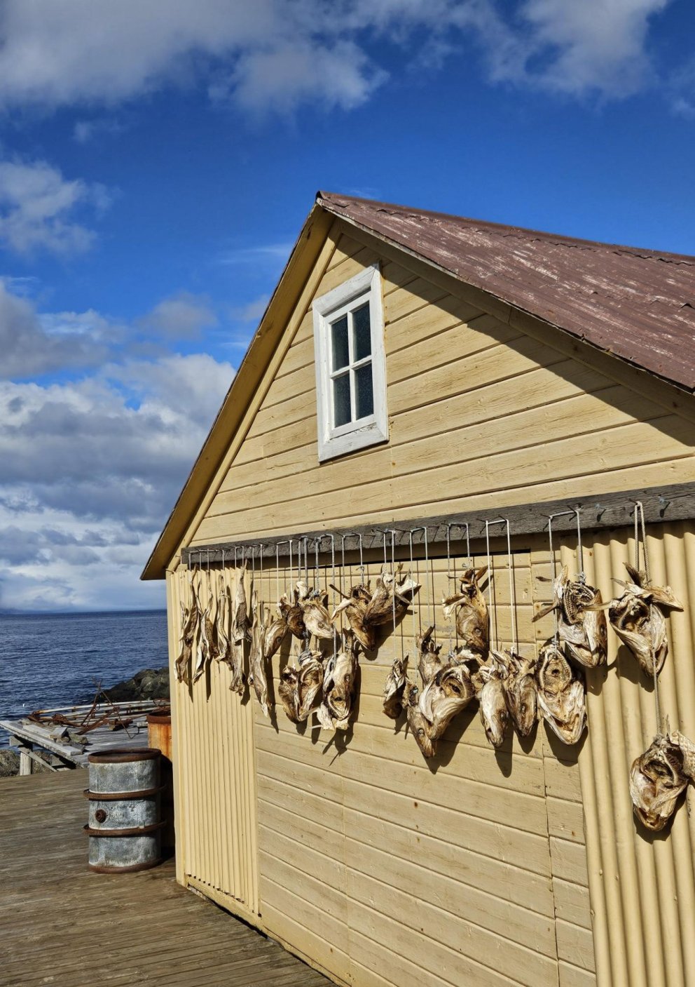 Harðfiskdagur 4. september