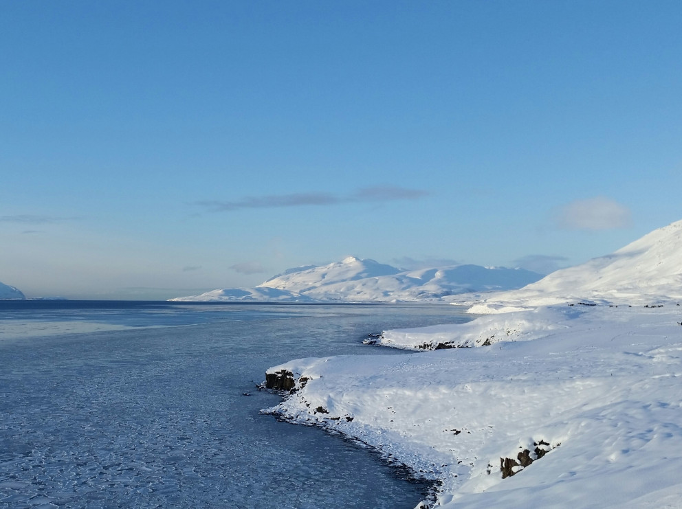 Hér á fegurðin heima allt árið!