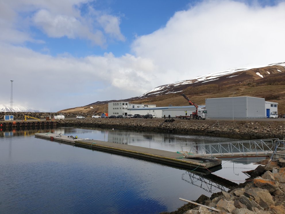 Endurnýjun flotbryggju