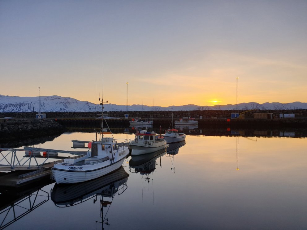 Kvöld við höfnina