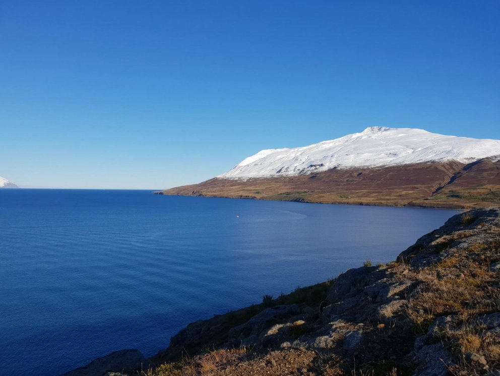 Kaldbakur streymir orku til Grenvíkinga og gesta þeirra