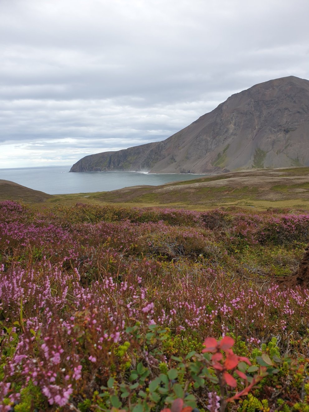 Hvalvatnsfjörður - Bjarnarfjall