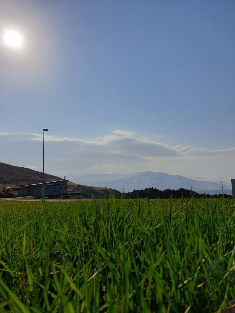 Sumarsól og grasið grær.